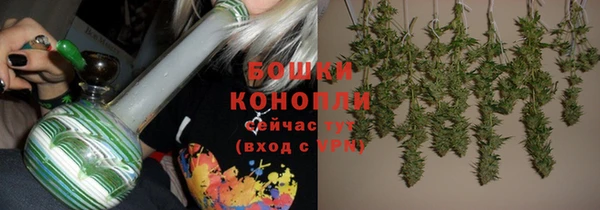 стаф Ростов