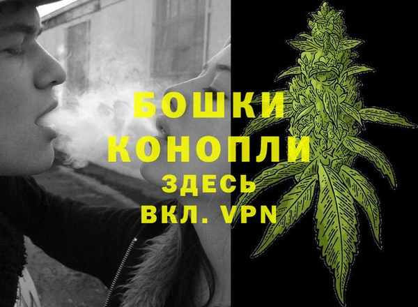 бошки Алексеевка