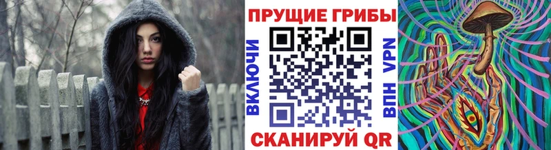Псилоцибиновые грибы GOLDEN TEACHER  площадка как зайти  Палласовка  купить наркотик 